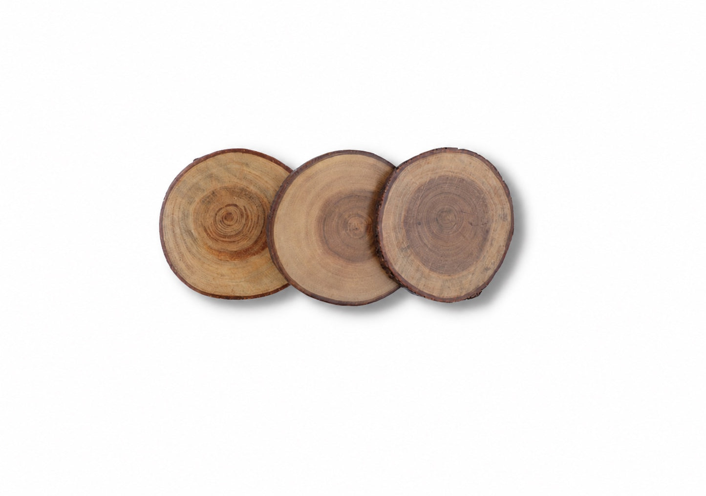 Woodmint — Acacia Log Live Edge Coaster — Image 5